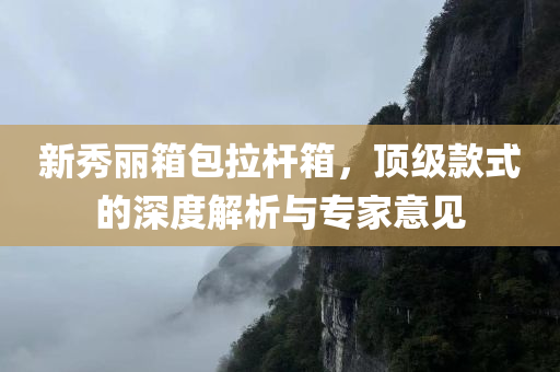 新秀丽箱包拉杆箱，顶级款式的深度解析与专家意见