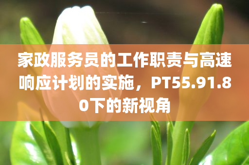 家政服务员的工作职责与高速响应计划的实施，PT55.91.80下的新视角