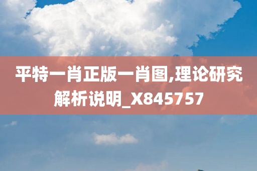 平特一肖正版一肖图,理论研究解析说明_X845757