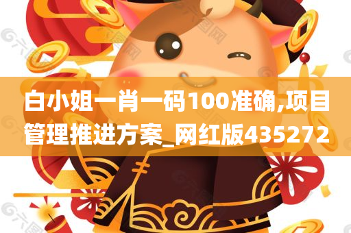 白小姐一肖一码100准确,项目管理推进方案_网红版435272