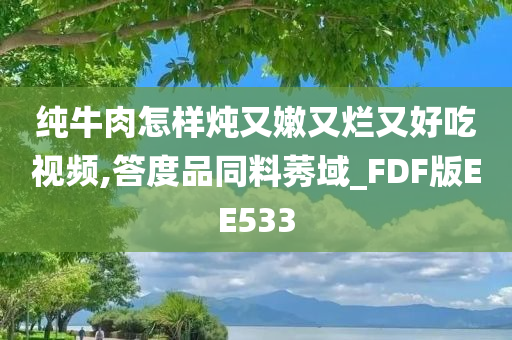 纯牛肉怎样炖又嫩又烂又好吃视频,答度品同料莠域_FDF版EE533