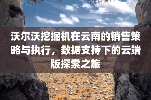 沃尔沃挖掘机在云南的销售策略与执行，数据支持下的云端版探索之旅