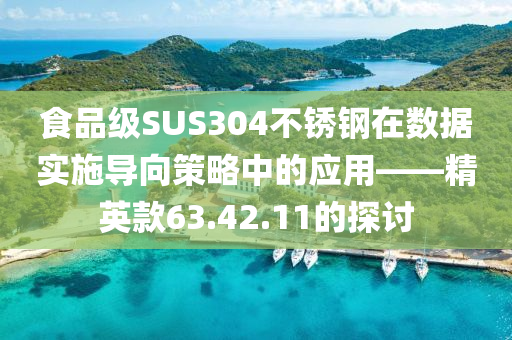 食品级SUS304不锈钢在数据实施导向策略中的应用——精英款63.42.11的探讨