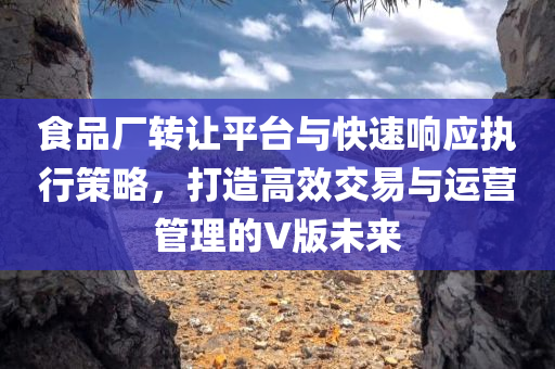 食品厂转让平台与快速响应执行策略，打造高效交易与运营管理的V版未来