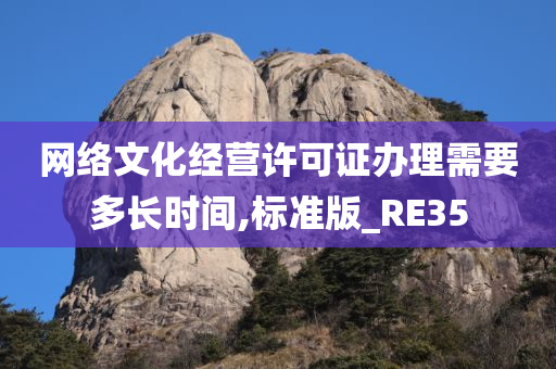 网络文化经营许可证办理需要多长时间,标准版_RE35