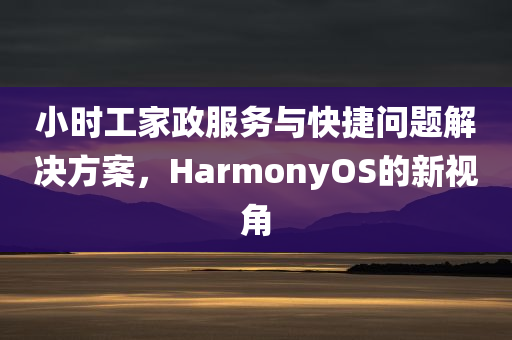 小时工家政服务与快捷问题解决方案，HarmonyOS的新视角