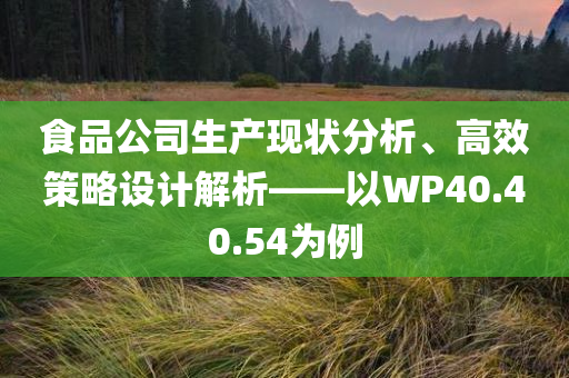 食品公司生产现状分析、高效策略设计解析——以WP40.40.54为例