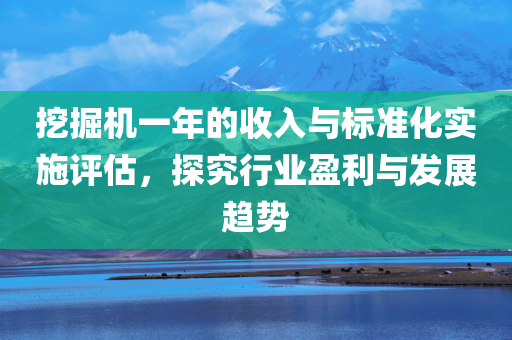 挖掘机一年的收入与标准化实施评估，探究行业盈利与发展趋势