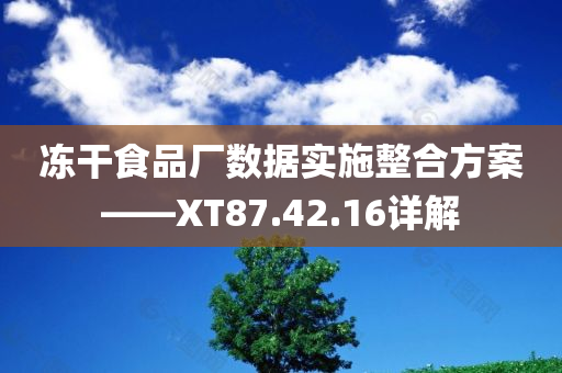 冻干食品厂数据实施整合方案——XT87.42.16详解